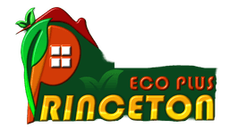 Princeton Eco Plus Services Limited logo - energy development in West Midlands