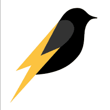 Nightingale Electrical Limited logo - electrical contracting in Gwent