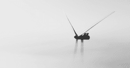 IOWN logo - solar installation in San Diego